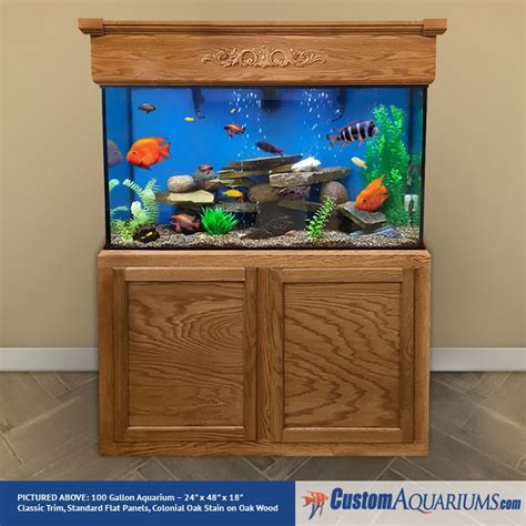 100 Gallon Tank Ultimate Setup Guide for Aquarium Enthusiasts