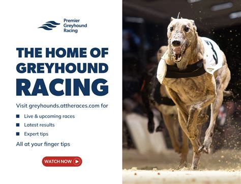 20 000 Premier Greyhound Racing Regency Live Greyhound Racing 20 000 Premier Greyhound Racing Regency Live Greyhound Racing