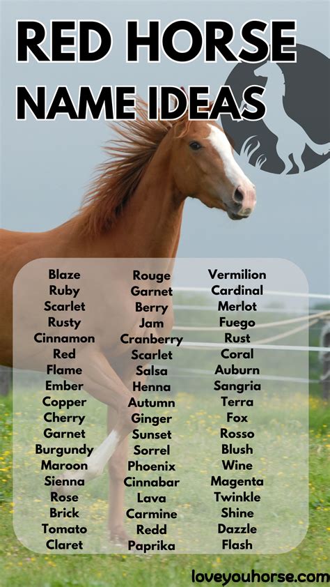 250 Best Red Horse Names For Your Equine Companion Horse Names