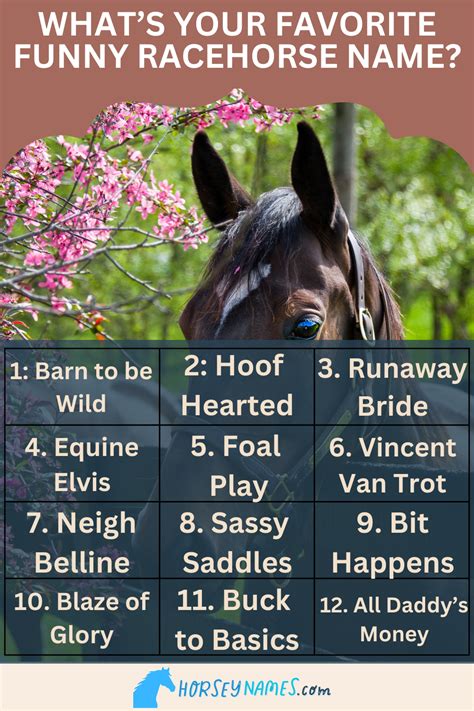 250 Chocolate Horse Names Names For Horses Chaingang Design