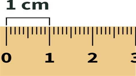 Convert 3 cm to Inches: Quick Fact!