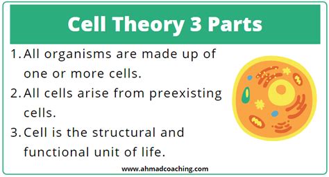 Unveiling the 3 Parts of Cell Theory: Key Discoveries You Need to Know
