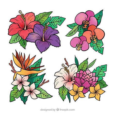 35 Tropical Flower Tattoo High Res Illustrations Getty Images