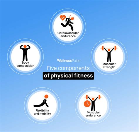 5 Components Of Physical Fitness