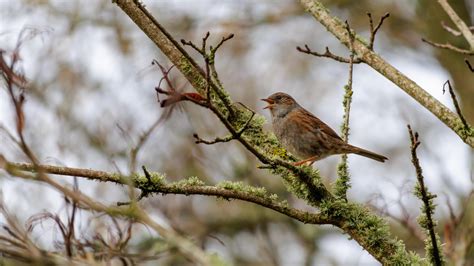 Convert 55 F to C: Quick and Easy Temperature Conversion Guide