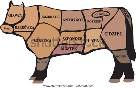 679 Beef Cuts Names Royalty Free Images Stock Photos Amp Pictures 679 Beef Cuts Names Royalty Free Images Stock Photos Amp Pictures