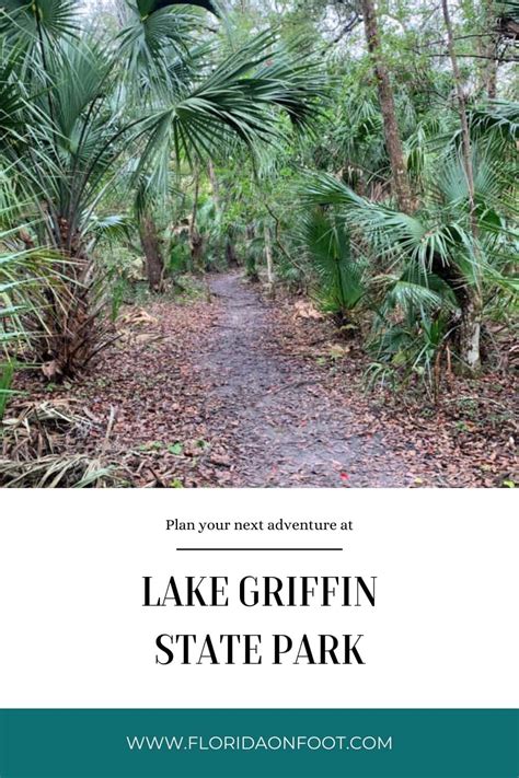 7 Things To Do At Lake Griffin State Park Florida On Foot