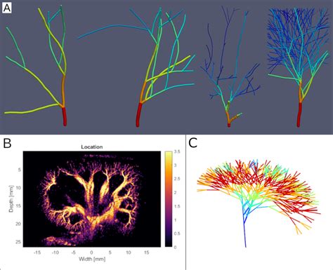 A Randomly Generated Networks Obtained Using Different Maximum Allowed