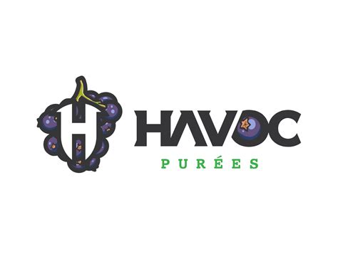 Acai Aseptic Puree Havoc Brew Supply