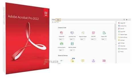 Adobe Acrobat Pro vs DC: Ultimate Guide