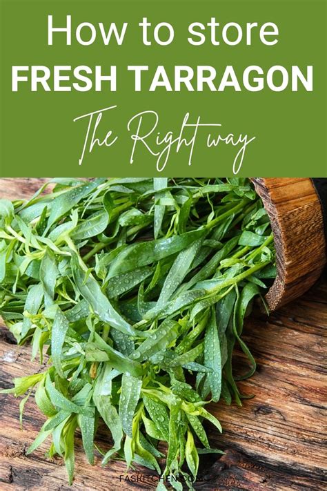 All About Tarragon How To Buy And Use Tarragon
