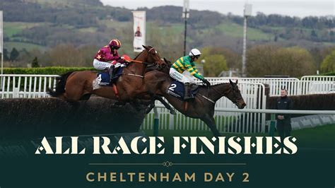 All Race Finishes From Day 2 Of The 2024 Cheltenham Festival