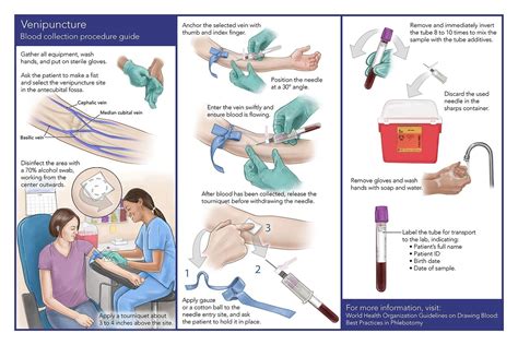 Allied Health Care Phlebotomy Quizlet