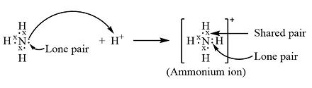 Mastering Ammonia Ion Charge Explained