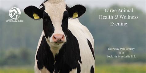 Animal Health And Wellness