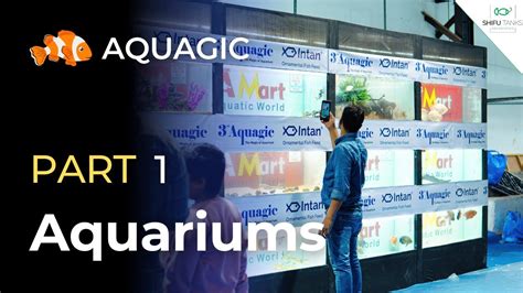 Aquagic 2022 Largest Aquarium Fish Exhibition In India Mumbai 2022 Aquagic 2022 Largest Aquarium Fish Exhibition In India Mumbai 2022