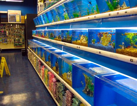 Aquarium Fish Stores In Nj Aquarium Accessories Shop Visit Aquarium Aquarium Fish Stores In Nj Aquarium Accessories Shop Visit Aquarium