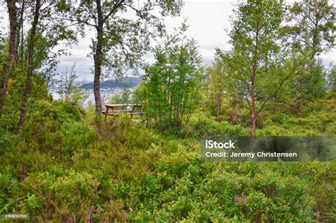 Aselund Hiking From Sukkertoppen The Sugar Top Trail Views Coast And