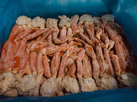 Bairdi Large Snow Crab Clusters Ak F I S H Frozen