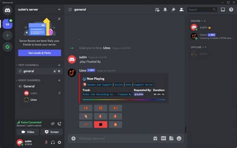 Best Music Bot For Discord