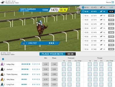 Best Virtual Horse Racing Betting Sites Uk February 2026 Best Virtual Horse Racing Betting Sites Uk February 2026