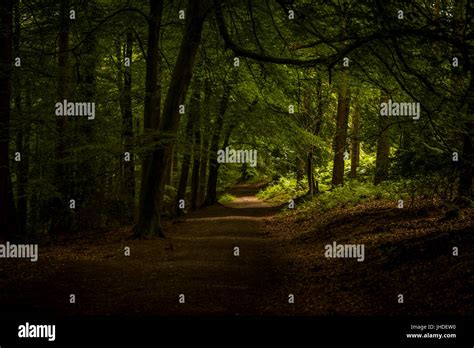 Broomhill Road Hi Res Stock Photography And Images Alamy