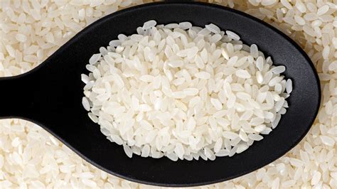 Calrose Rice
