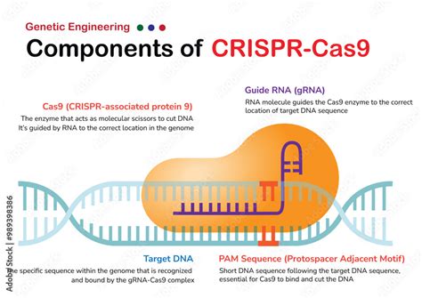 Can Crispr Form Organoids: Common Challenges And Troubleshooting Tips