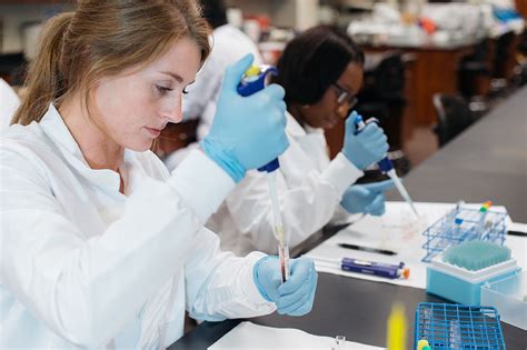 Careers Shp Department Of Clinical And Diagnostic Sciences