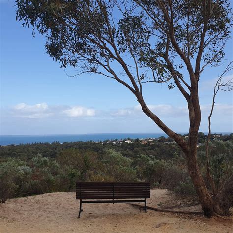 Centennial Center Park 2026 All You Must Know Before You Go With Reviews