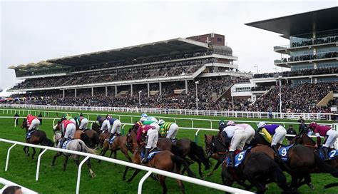 Cheltenham Festival Antepost Tips Daryl Carter Amp 39 S Cheltenham Focus