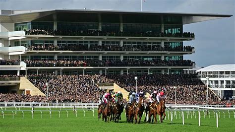 Cheltenham Festival Fast Results How To Get Quickest Race Outcomes During 2025 Event Mirror Online Cheltenham Festival Fast Results How To Get Quickest Race Outcomes During 2025 Event Mirror Online