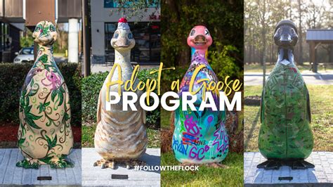 City Of Goose Creek Sc As The Weather Warms Up Be On The Lookout For The Yard Of The Month Sign Selected By Our Code Enforcement Officers Residents A Instagram City Of Goose Creek Sc As The Weather Warms Up Be On The Lookout For The Yard Of The Month Sign Selected By Our Code Enforcement Officers Residents A Instagram