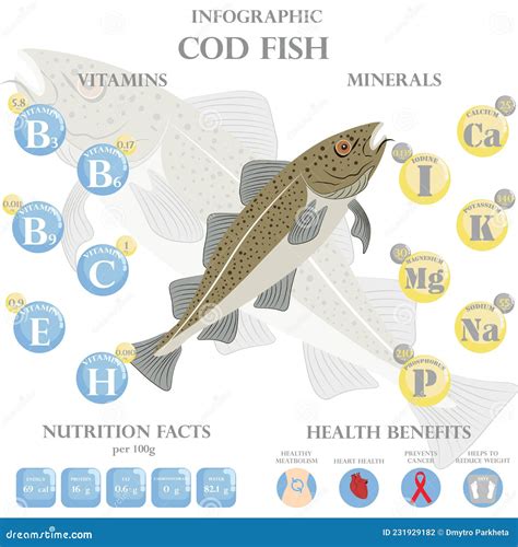 Cod Health Benefits