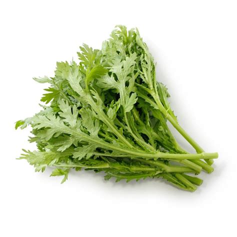 Crown Daisy: The Hidden Garden Gem Revealed