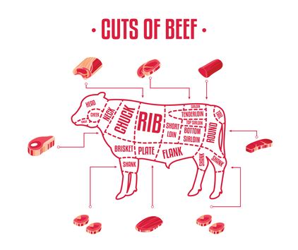 Detailed Guide To The Different Cuts Of Beef Robert Wholey Company Detailed Guide To The Different Cuts Of Beef Robert Wholey Company