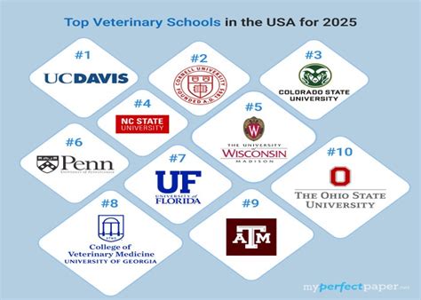 Discover The Best Vet Schools In The U S In 2024 Degreechoices Com