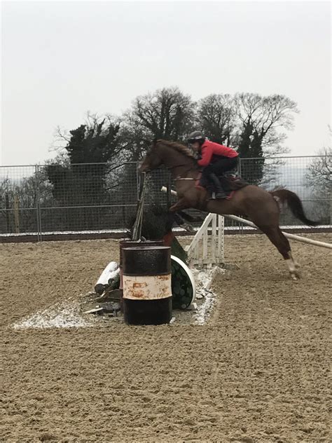 Epds Racing Troubles Prompt Trainer Menzies To Take More Control Of Syndicates Racing Post