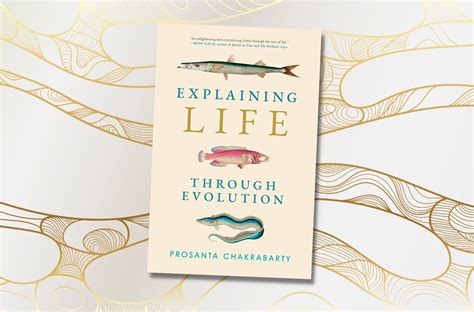 Explaining Life Through Evolution The Roots Of Our Amp 39 Tree Of Life Amp 39