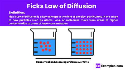 Fick's Law of Diffusion Explained Simply