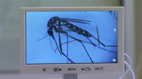 First Case Of West Nile Virus Confirmed In Maryland Officials Say