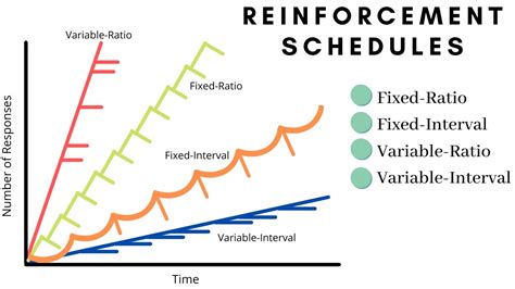 Fixed Ratio Schedule: Maximizing Business Outcomes