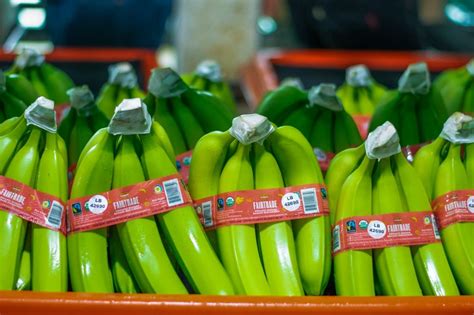 Fresh Del Monte Aims To Sell Fairtrade Certified Organic Bananas In The U S Fresh Del Monte Fresh Del Monte Aims To Sell Fairtrade Certified Organic Bananas In The U S Fresh Del Monte