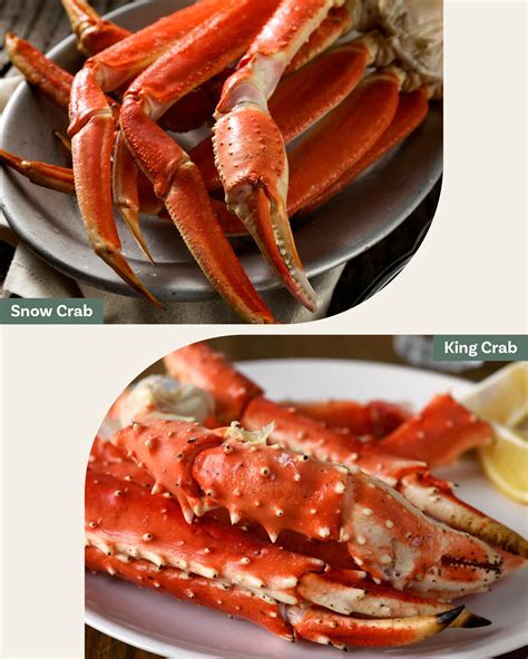 Fresh Snow Crab Leg Meat Biggest Discount Www Oceanproperty Co Th