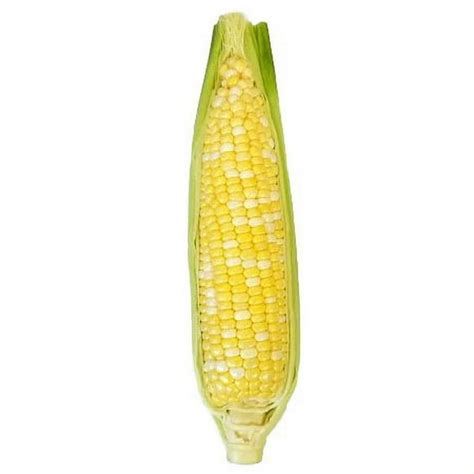 Fresh Sweet Corn On The Cob Each 1 Ct Food 4 Less