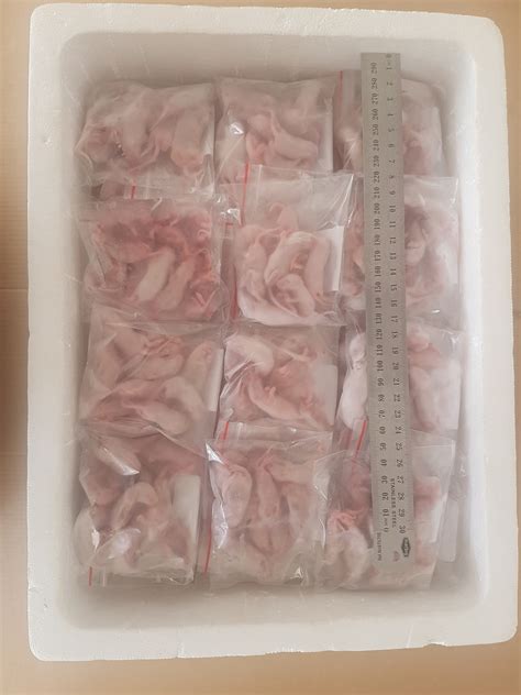 Frozen Fuzzies Mice Best Online Frozen Reptile Food Supplier Frozen Frozen Fuzzies Mice Best Online Frozen Reptile Food Supplier Frozen