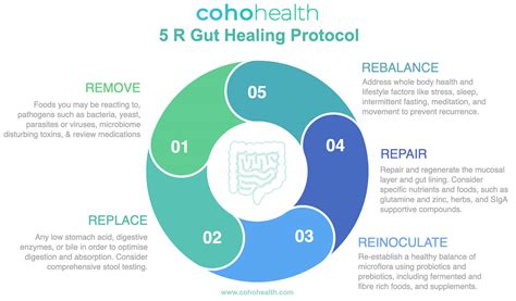 Functional Medicine For Gut Health Colorado