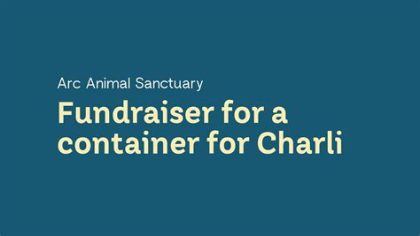 Fundraiser By Charlotte Sotiriou Help Charli Buy A New Living Container