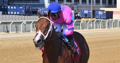 G3 Gotham Contender Sacrosanct Already An Ace For Co Owner Net Birdie Aqueduct G3 Gotham Contender Sacrosanct Already An Ace For Co Owner Net Birdie Aqueduct