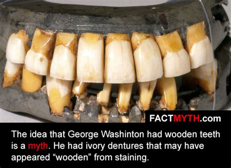 George Washington Teeth Myth George Washington Teeth Myth